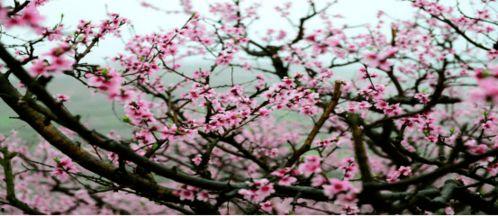 筑梦田园 第一季