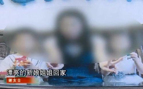 净身出户后，我带嫂子发家致富,携手嫂子共谱发家致富传奇