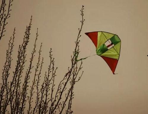 断线的风筝,追寻飘散的童年记忆