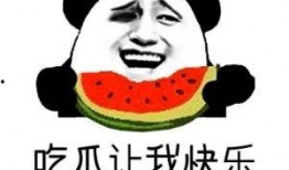网上语言吃瓜是什么意思,吃瓜背后的趣味与内涵