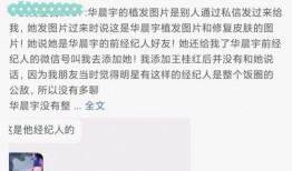 娱乐圈吃瓜完整版曲目